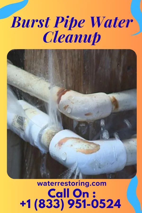 Burst Pipe Water Cleanup in Canton, MN