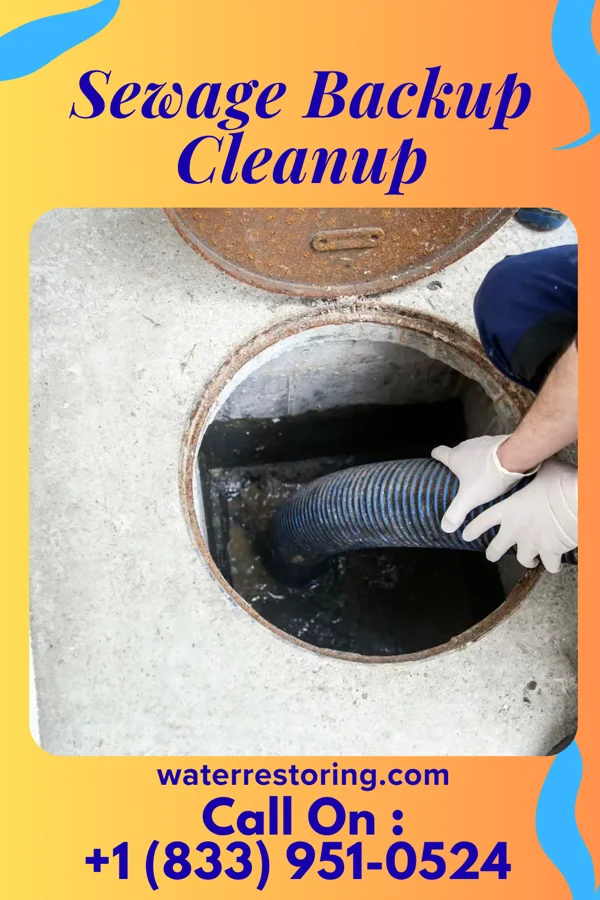Sewage Backup Cleanup in Canton, MN