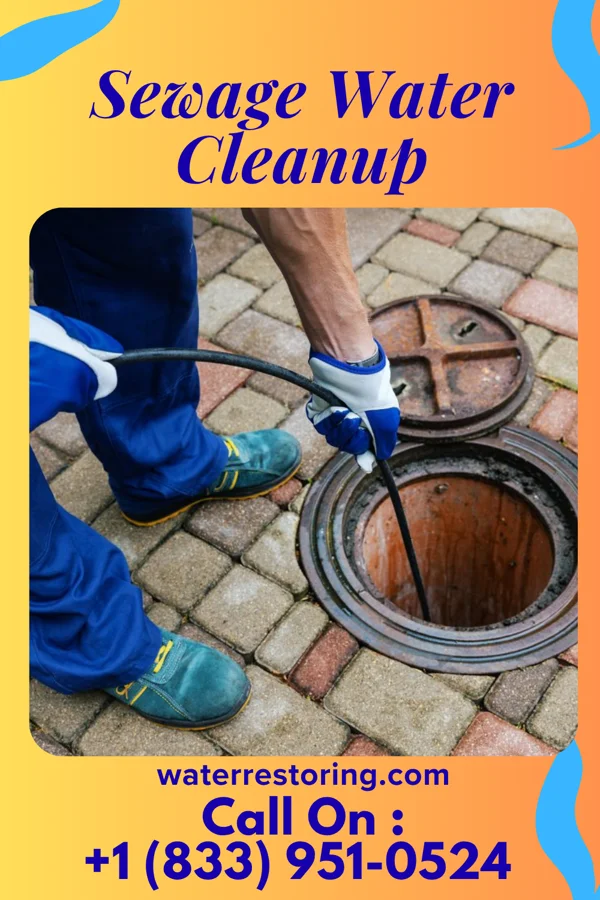 Sewage Water Cleanup in Canton, MN